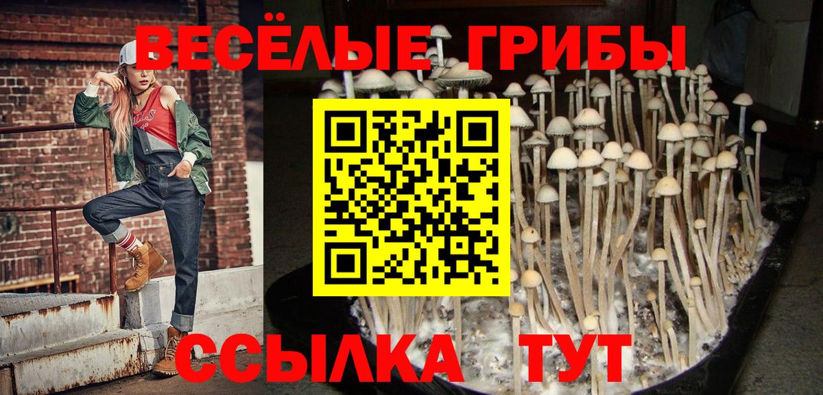 Галлюциногенные грибы мухоморы Королёв