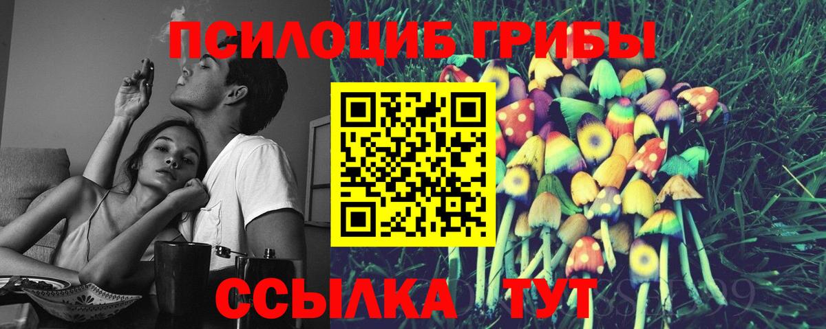 Галлюциногенные грибы Magic Shrooms  Псилоцибиновые грибы ЛСД  Вход с VPN  Королёв 